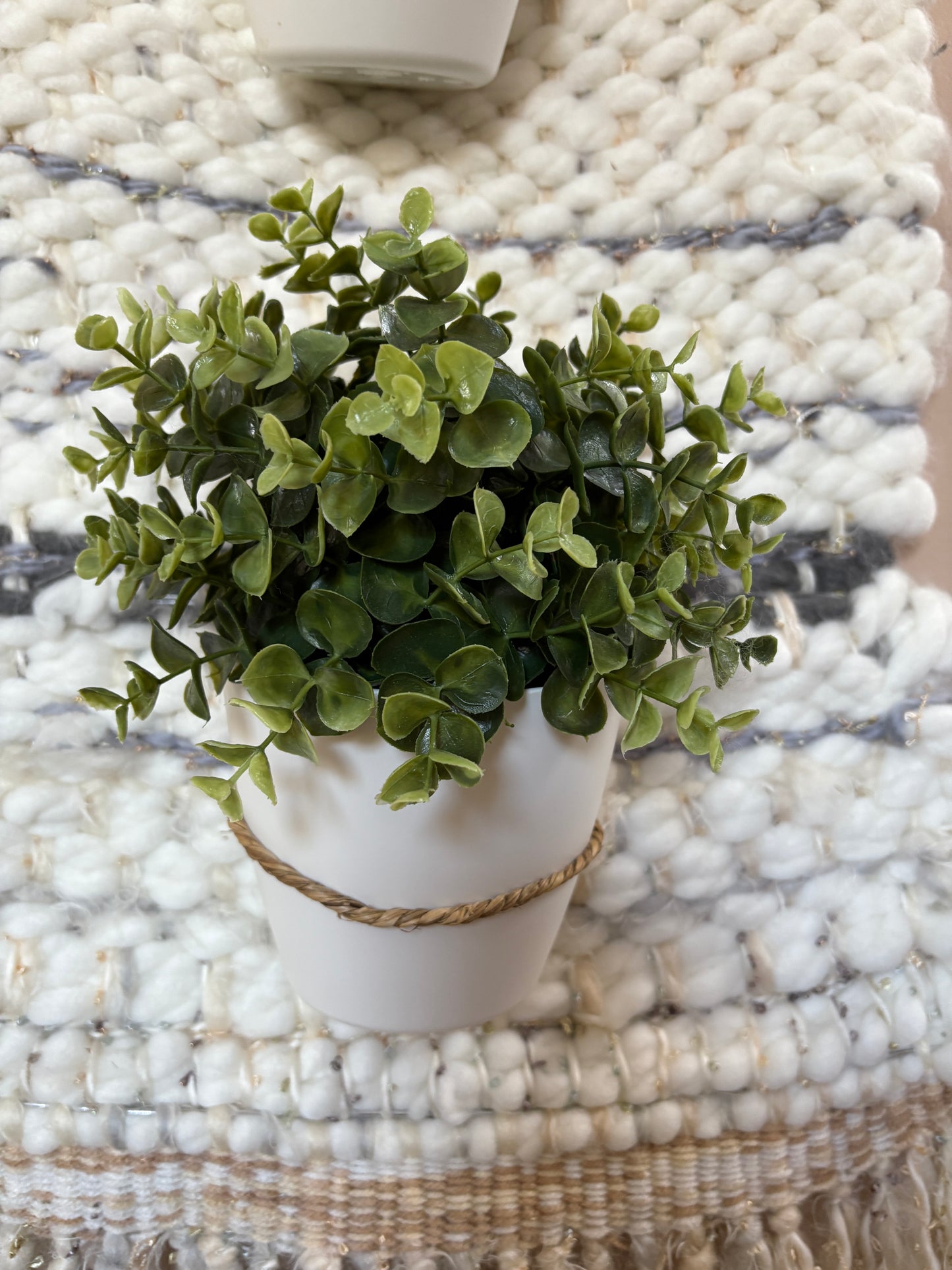 Plant Wall-hanging