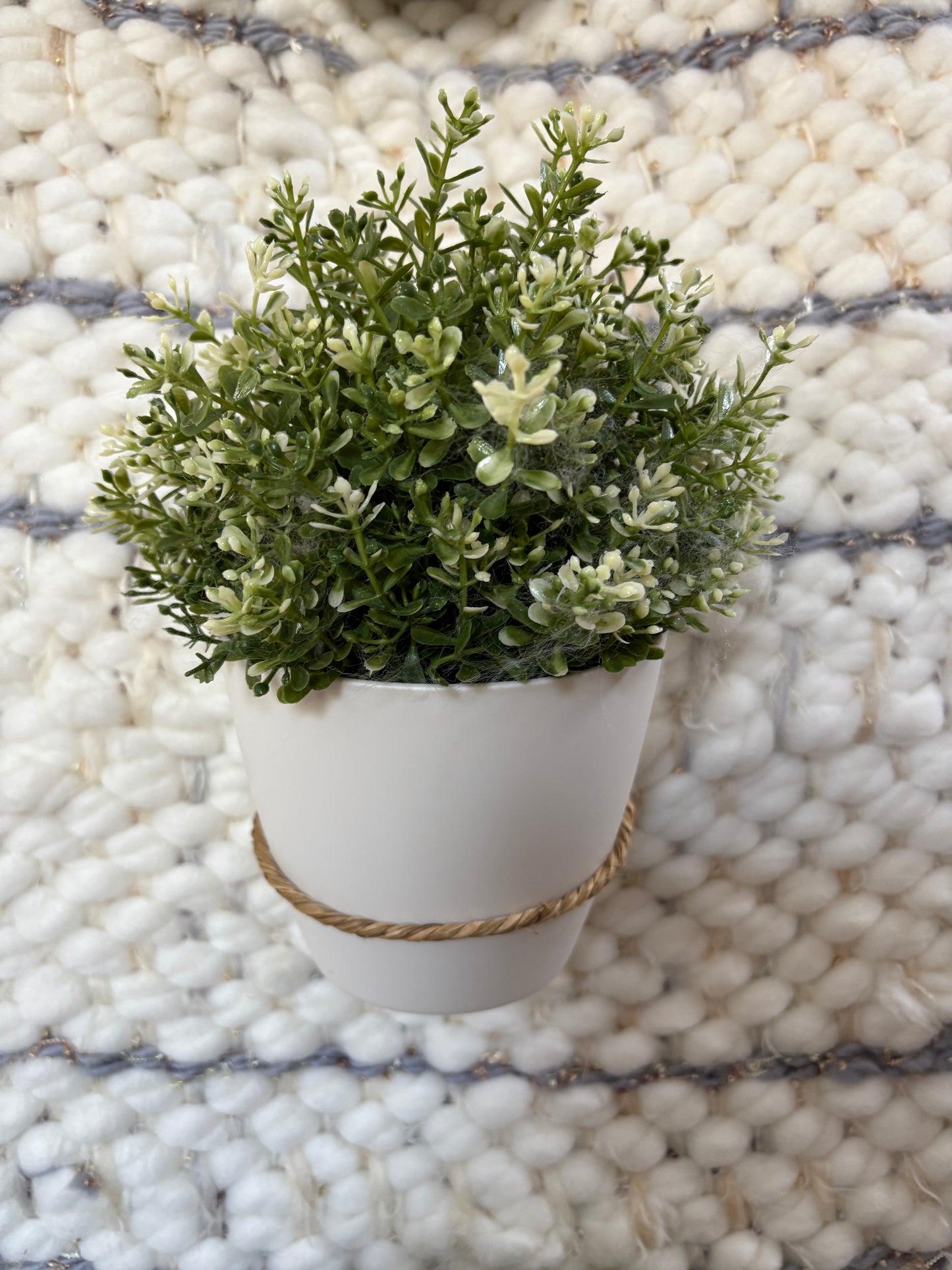 Plant Wall-hanging