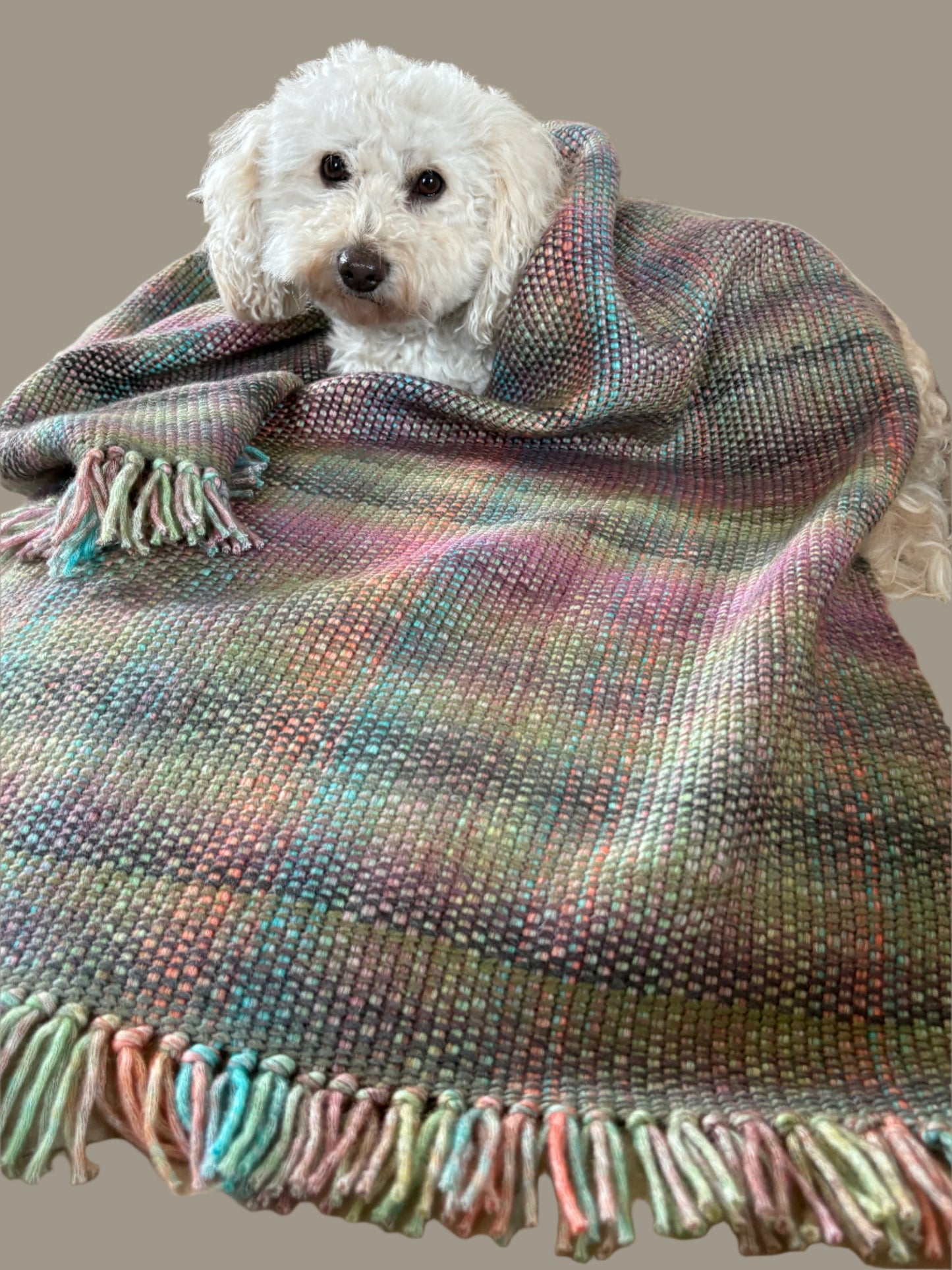 Rainbow coloured Shawl/Wrap