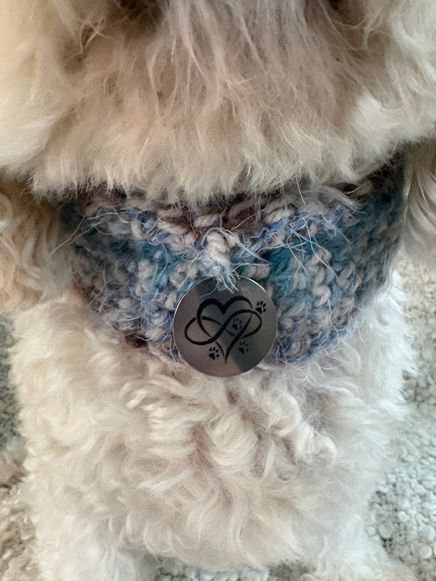 Dog Snood hand crochet