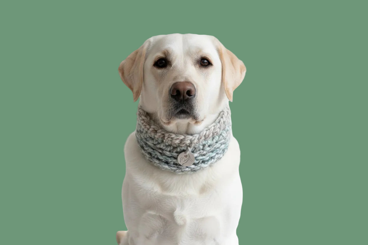 Dog Snood hand crochet