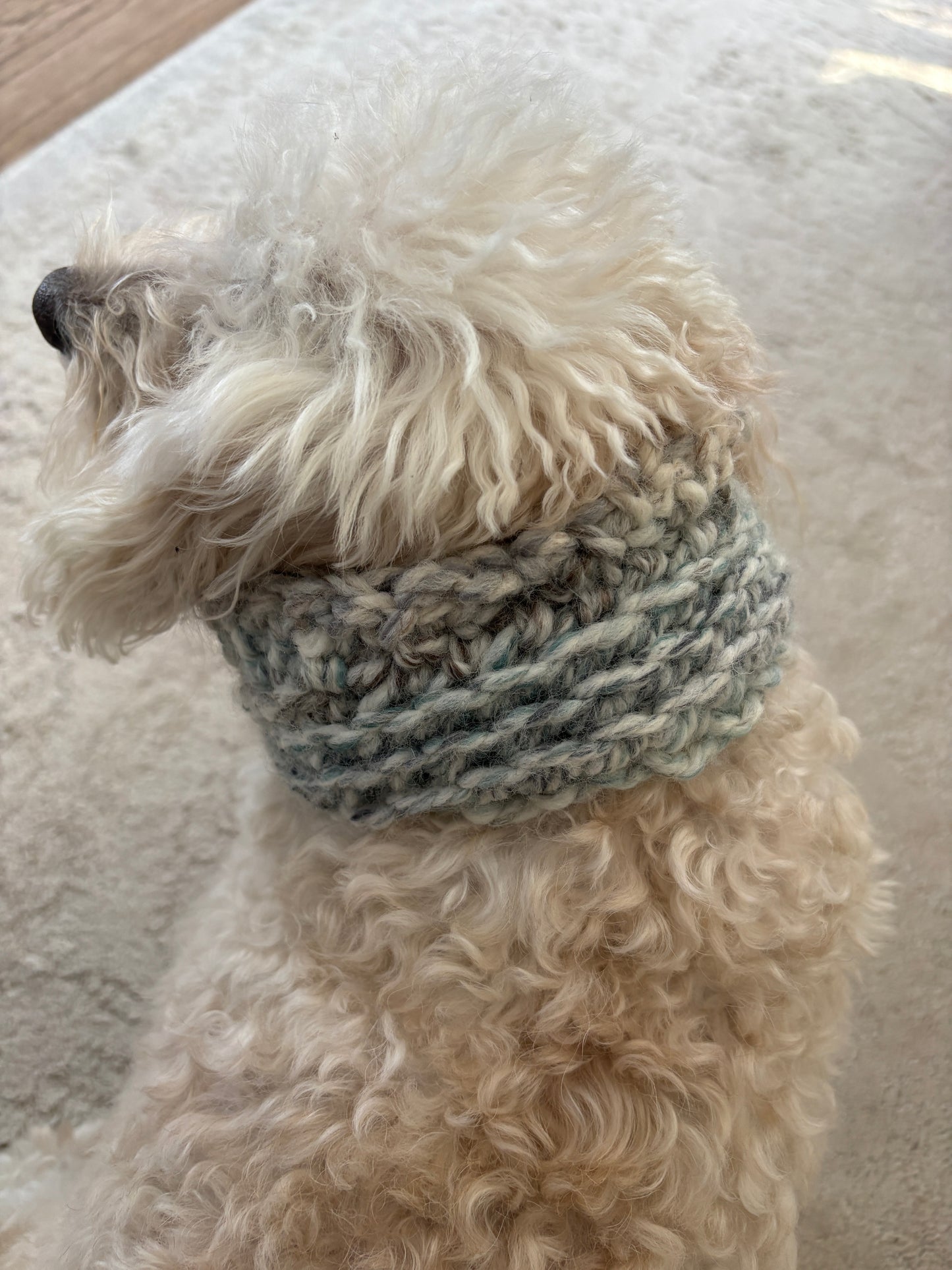 Dog Snood hand crochet