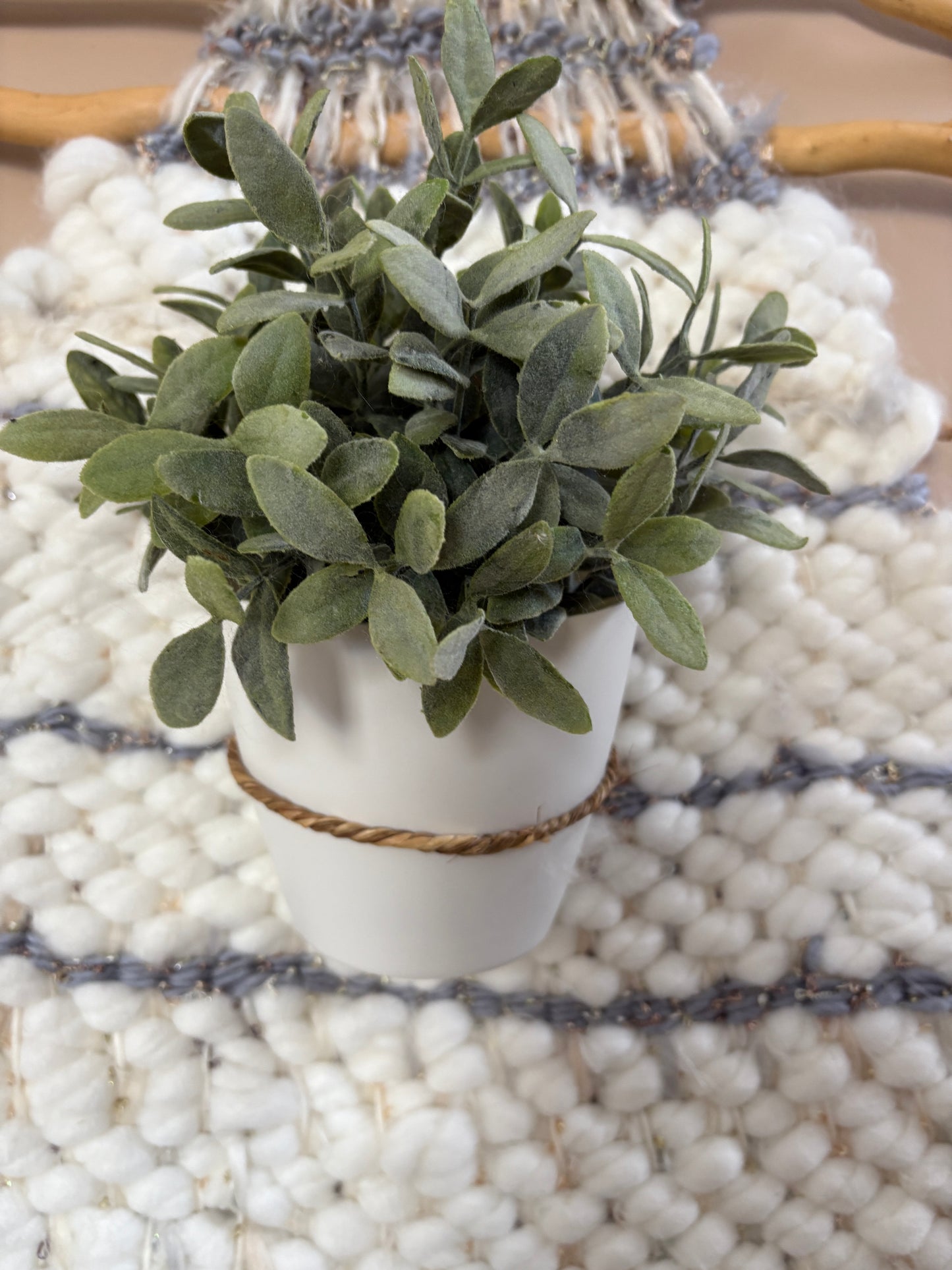 Plant Wall-hanging
